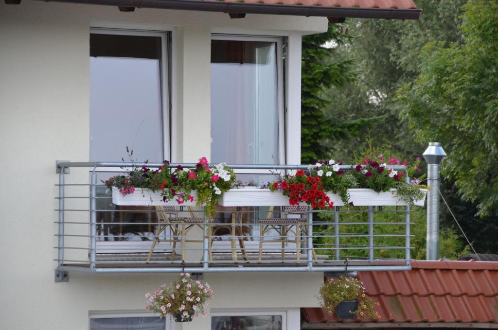 Hotel Zur Bruecke Greifswald Ngoại thất bức ảnh